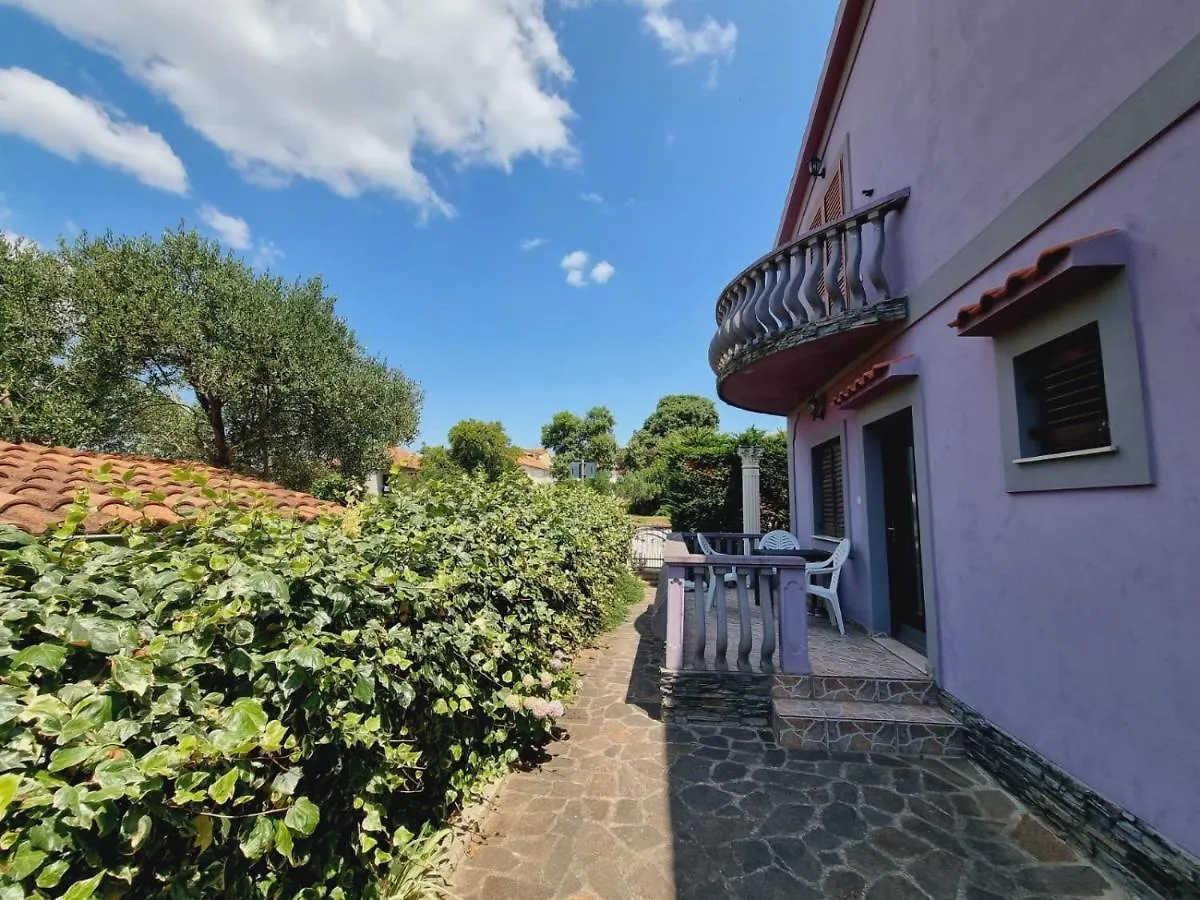 Apartmani Nika Bibinje Lejlighed