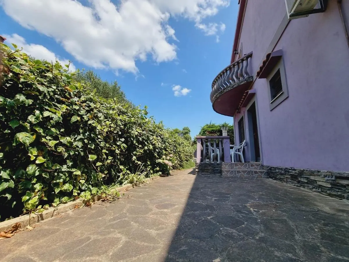 Apartmani Nika Bibinje Kroatien